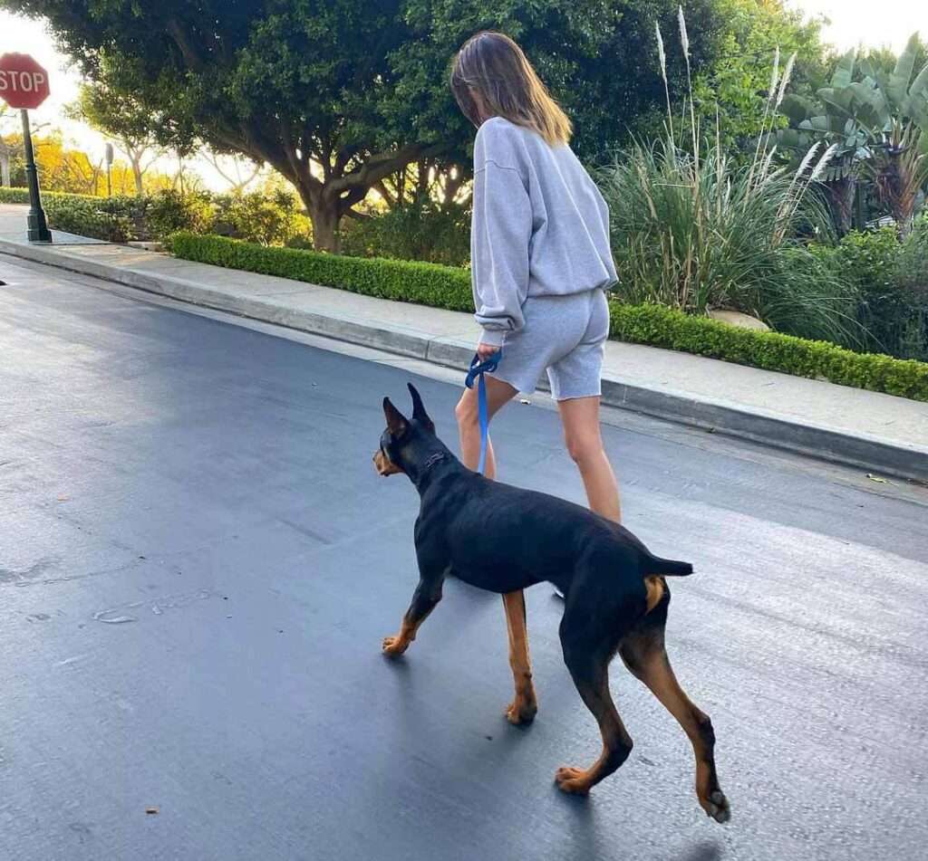 Kendall Nicole Jenner walking with her dog